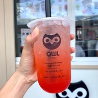 Owl Cha ปัฐวิกรณ์ JC Mall