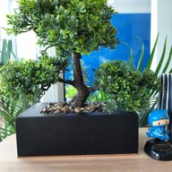 บรรยากาศ Family T coffee