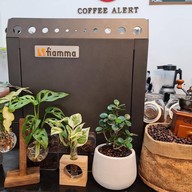 คอฟฟี่ อะเลิร์ท Coffee Alert Coffee Alert @Khon Kaen