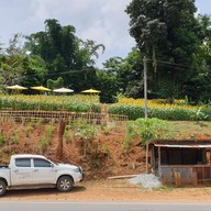 บรรยากาศ ตามตะวัน