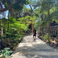 ครัวต้นตาล