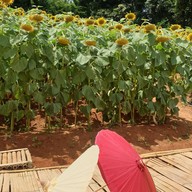 บรรยากาศ ตามตะวัน