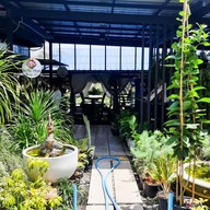 เสบียงบ้านแม่