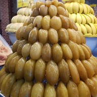 วรรณวิษา