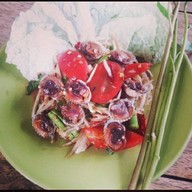 ร้านส้มตำแซ่บๆ