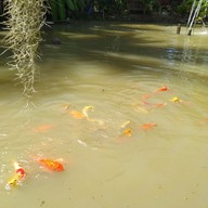 สวนสนวิลล่า