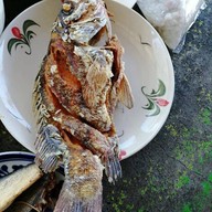 เจ้แมว โอมมาซีฟู้ดส์ เลียบหาดแม่รำพึง อำเภอบางสะพาน