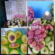 คุณตุ๊ก…ดื่มเพื่อสุขภาพ