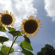 บรรยากาศ ตามตะวัน