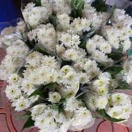 ปากคลองตลาด