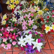 ปากคลองตลาด