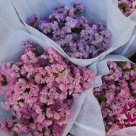 ปากคลองตลาด