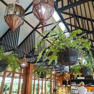 มิรา คูซีน ฮาลาล -