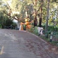 Blue Lagoon Home Trang