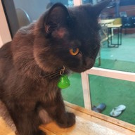 Hell Bar Burger x Beer