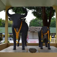 วัดพระธาตุห้าดวง
