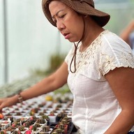 บรรยากาศ คุกกี้รันแคคตัส / CookieRunCactus Facebook.com/CookieRunCactus