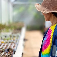 บรรยากาศ คุกกี้รันแคคตัส / CookieRunCactus Facebook.com/CookieRunCactus