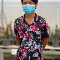 บรรยากาศ คุกกี้รันแคคตัส / CookieRunCactus Facebook.com/CookieRunCactus