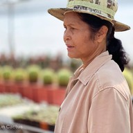 บรรยากาศ คุกกี้รันแคคตัส / CookieRunCactus Facebook.com/CookieRunCactus