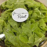 สลัดผักรักษ์โลก