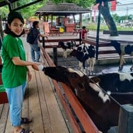 ฟาร์มโชคชัย