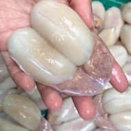 หมึกพ่นไฟ