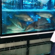 ตกถัง ซีฟู้ด