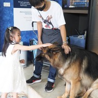 HODS: House Of Dogs -