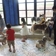 HODS: House Of Dogs -