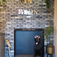 HODS: House Of Dogs -