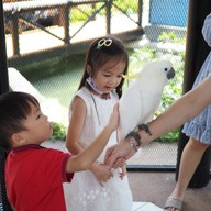 HODS: House Of Dogs -