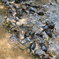 The River Coffee