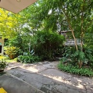 The Treehouse Nongchok
