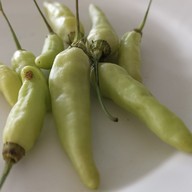 เมนูของร้าน ใบเตยก๋วยเตี๋ยวเนื้อตุ๋น