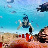 บรรยากาศ อ.ไตรทิพย์ - ดำน้ำแสมสาร