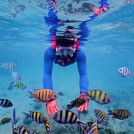 บรรยากาศ อ.ไตรทิพย์ - ดำน้ำแสมสาร