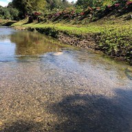 คูม่าการ์เด้น (Kuma Garden)