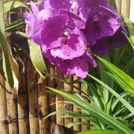 กล้วยทอดน้องทัน