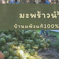 Arias วุ้นมะพร้าว นำ้มะพร้าวแท้100%