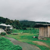 Chiang Dao Camping