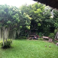 Youngfolk Bean and Brew bean and brew