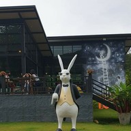 หน้าร้าน Rabbit Hole @ Phuket