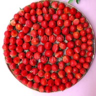 Daifuku hachi ศรีนครินทร์40