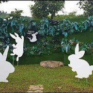 บรรยากาศ Rabbit Hole @ Phuket