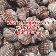 หอยแครงลวกแม่ดาว ตลาดโนนทัน