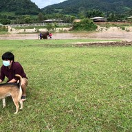 Elephant Nature Park