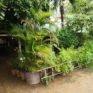 บรรยากาศ ณรงค์โภชนา