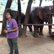 Elephant Nature Park