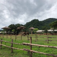 Elephant Nature Park